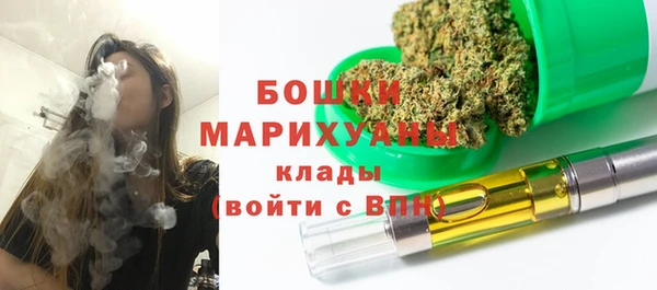 дживик Снежногорск