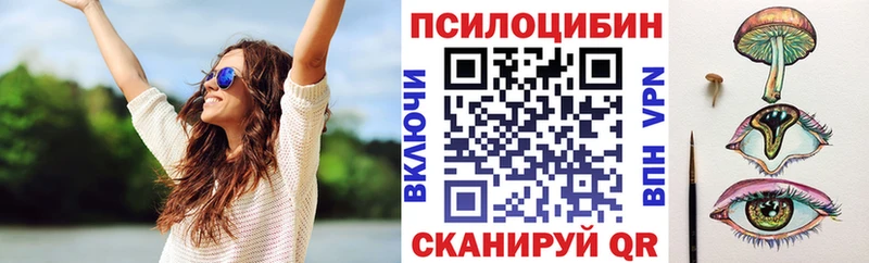 Галлюциногенные грибы Psilocybine cubensis  Купить где  Красноперекопск 
